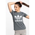 Adidas TREFOIL TEE