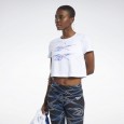 Reebok CL GP AOV TEE