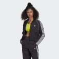 Adidas SHORT TRACKTOP