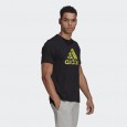 Adidas M BOS BRTP FLL