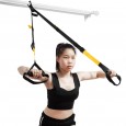 Spin Suspension Trainer