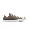 Converse Seasnl OX