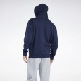 Reebok Reebok CL F VECTOR HOODIE