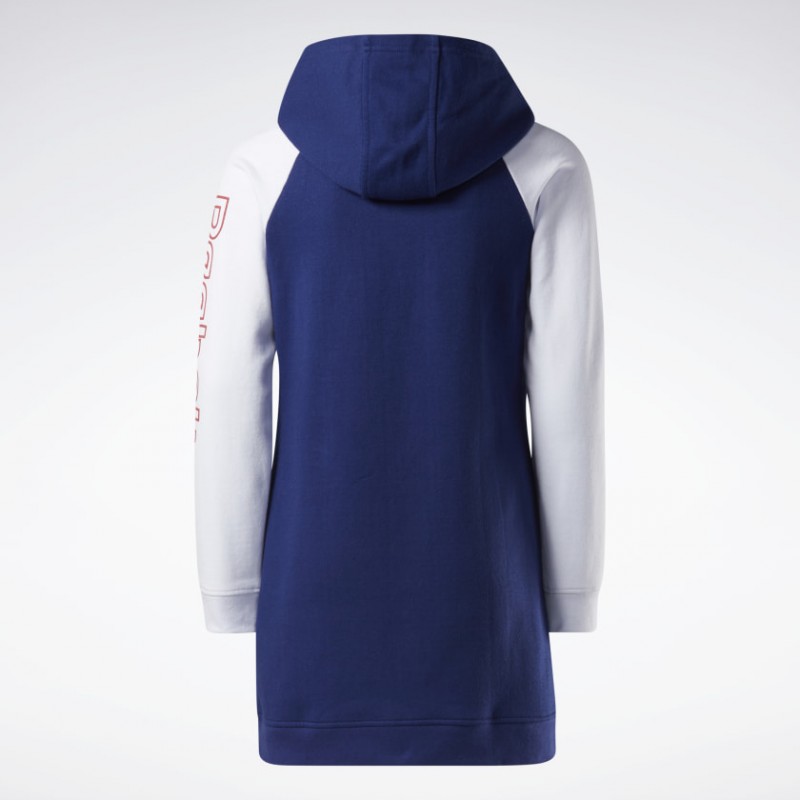 Reebok BIG INTL REEBOK CLASSIC HOODIE