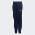 Adidas CON20 TR PNT Y