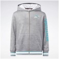 Reebok BIG INTL REEBOK Y/D RIB HOODIE
