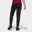 Adidas AFC TR PNT