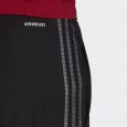 Adidas AFC TR PNT