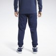 TE WVN C LINED PANT VECNAV