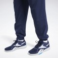 TE WVN C LINED PANT VECNAV