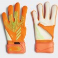 Adidas PRED GL LGE