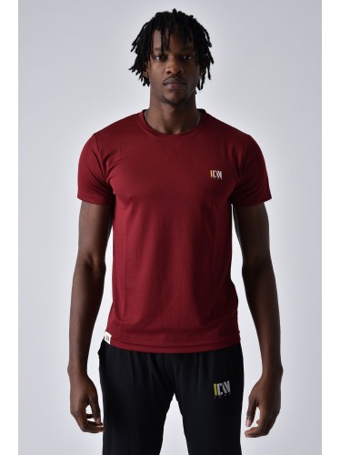 ICAN DRAY FIT T-SHIRT تيشيرت شبابي دراي فيت لون خمري