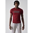 ICAN DRAY FIT T-SHIRT تيشيرت شبابي دراي فيت لون خمري