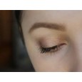 L’Oreal Infallible Paints Metallic Eyeshadow