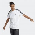 adidas ESSENTIALS SINGLE JERSEY 3-STRIPES T-SHIRT تيشيرت للشباب لون ابيض