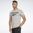 Reebok Identity Big Logo T-Shirt تيشيرت سكني من ريبوك للرجال