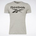 Reebok Identity Big Logo T-Shirt تيشيرت سكني من ريبوك للرجال