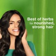 شامبو ضد القشره للتنظيف اللطيف من Himalaya