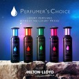 Perfumer's Choice Sofia 83ml