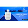 لويس كاردن عطر رجالي CREDIBLE HOMME 100ML