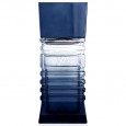 Axis Elegant 100ml EDT For Men