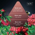 NOU Peony EDP 50ml For Women