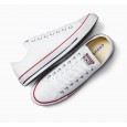 CONVERSE All Star OX