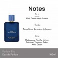 Fragrance World Des Tentations EDP 100ml For Men