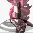 Calvin Klein Euphoria Eau De Parfum for Women 160 ml عطر ايفورا من كيلفن للنساء