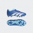 adidas PREDATOR ACCURACY.4