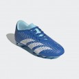 adidas PREDATOR ACCURACY.4