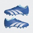 adidas PREDATOR ACCURACY.4