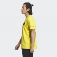 adidas U NATGEO GF TEE