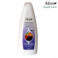 شامبو جيفان بالكيراتين والفواكة 1000مل - Jefan Shampoo with Keratin & Mixed Fruits 1000ML