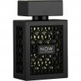 عطر ناو او دي بارفان من راف للرجال سعة 100 مل - Now EDP By Rave For Men 100ml