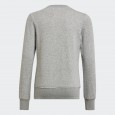 شويت شيرت اديداس للأطفال لون رمادي-adidas Kids' Essentials Sweatshirt - Grey