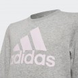 شويت شيرت اديداس للأطفال لون رمادي-adidas Kids' Essentials Sweatshirt - Grey