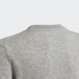 شويت شيرت اديداس للأطفال لون رمادي-adidas Kids' Essentials Sweatshirt - Grey