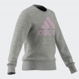 شويت شيرت اديداس للأطفال لون رمادي-adidas Kids' Essentials Sweatshirt - Grey