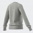 شويت شيرت اديداس للأطفال لون رمادي-adidas Kids' Essentials Sweatshirt - Grey