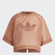 تيشيرت اديداس أولويز كروبد للنساء لون بني -adidas Women's Always Original Cropped Tee - Brown