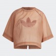 تيشيرت اديداس أولويز كروبد للنساء لون بني -adidas Women's Always Original Cropped Tee - Brown