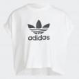 تيشيرت اديداس ادي كلر كلاسيك شورت للنساء لون أبيض-adidas Women's Adicolor Classics Short Trefoil Tee - White