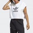 تيشيرت اديداس ادي كلر كلاسيك شورت للنساء لون أبيض-adidas Women's Adicolor Classics Short Trefoil Tee - White