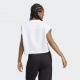 تيشيرت اديداس ادي كلر كلاسيك شورت للنساء لون أبيض-adidas Women's Adicolor Classics Short Trefoil Tee - White