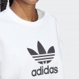 تيشيرت اديداس ادي كلر كلاسيك شورت للنساء لون أبيض-adidas Women's Adicolor Classics Short Trefoil Tee - White