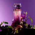 عطر تريسور ميدنايت روز من لانكوم للنساء سعة 75 مل - Tresor Midnight Rose EDP By Lancome 75ml