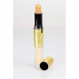 كونسيلر ستك (خافي عيوب )من ديلفي درجه2الحجم 2مل Delfy stick concealer2 2ml