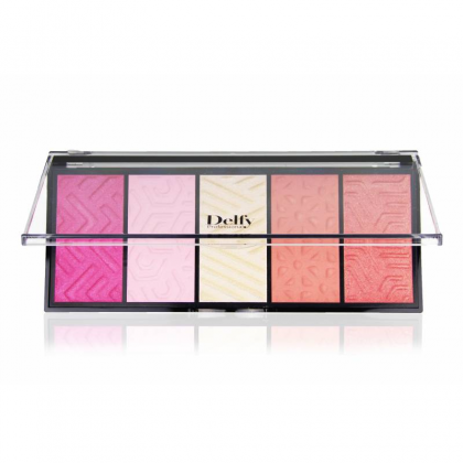 delfy blush collection بالت احمر خدود من ديلفي مكون من 5درجات 40غرام