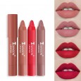 Charming Matte Lipstic أحمر شفاه مات درجة 10